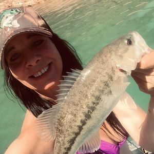 Meet your Posher, Cory